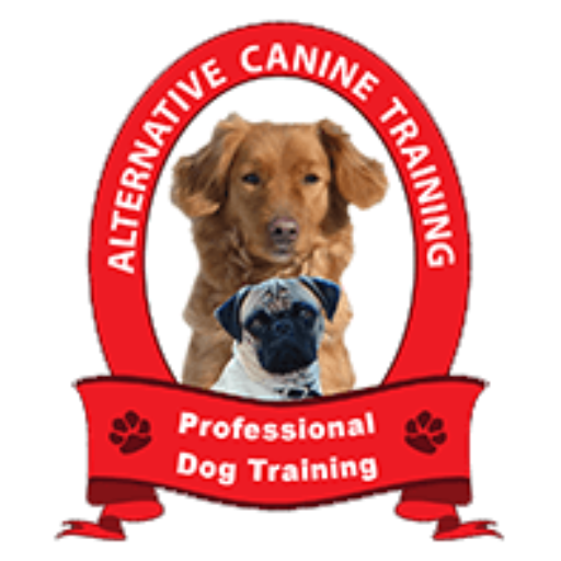 Alternative Canine Training | Dog and Puppy Trainers in Michigan