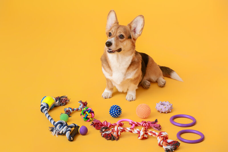 choosing the right dog toys for your pup