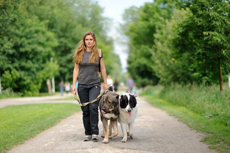 mental health benefits of dog ownership