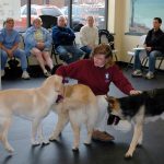 basic dog obedience training