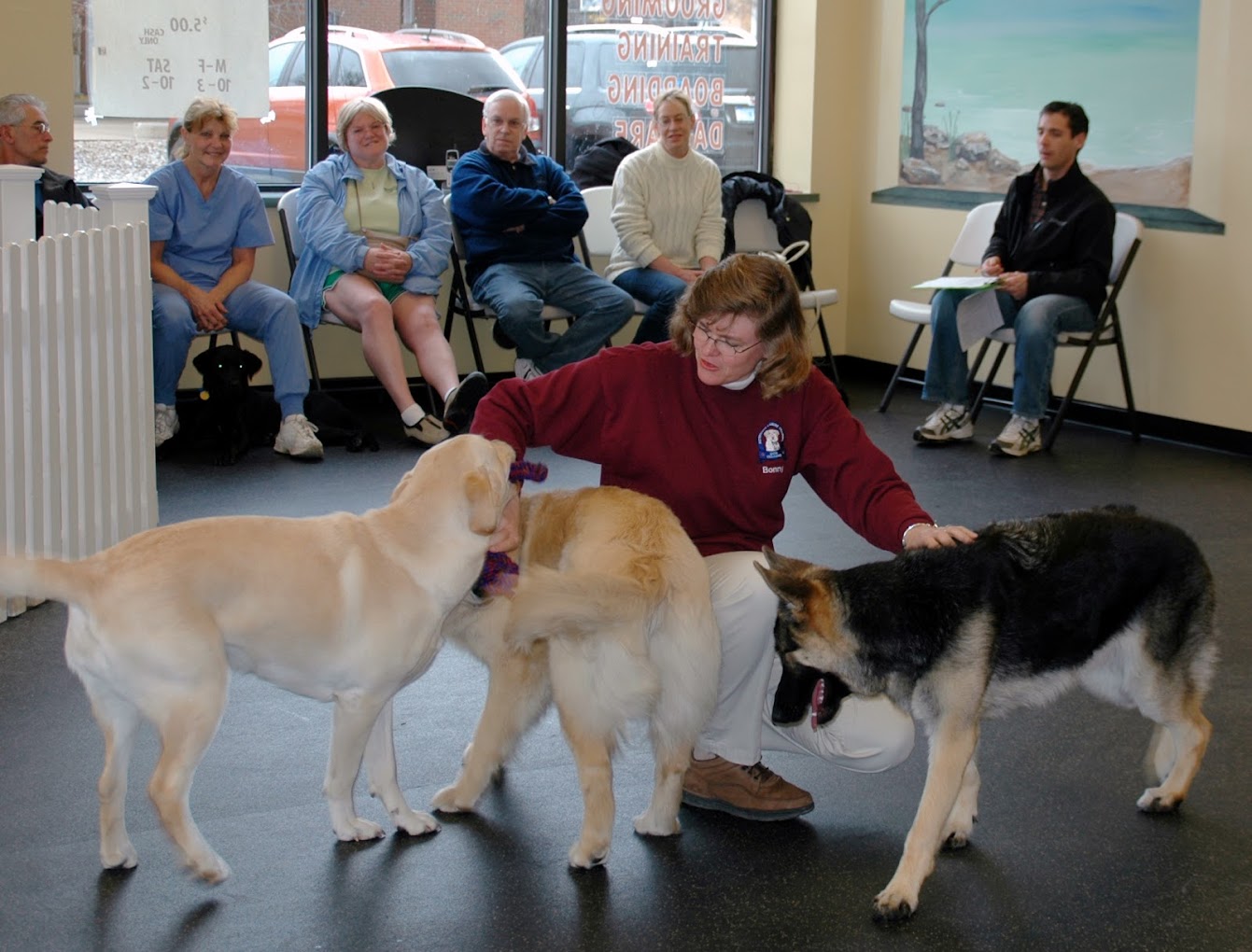 basic dog obedience training
