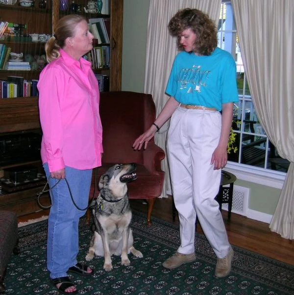 in home dog training programs