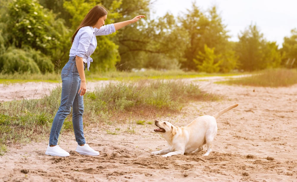 Woman giving a command to her obedient dog